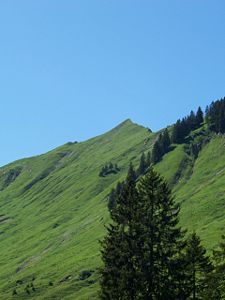 Die Hintere Üntschenspitze, gesehen von der Stierlochalpe oberhalb des Bärgunttals