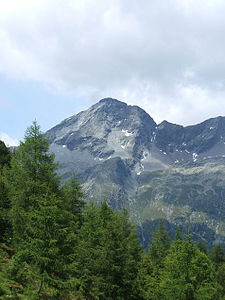 Großer Moosstock von Osten, vom Bachertal