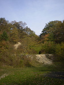 Der Steinbruch auf der Antonshöhe im Herbst