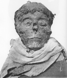 Ahmose-mummy-head.png