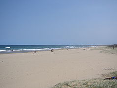 Seven Mile Beach in der Nähe von Nowra