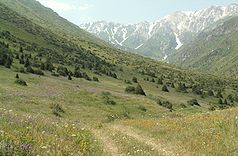 Naturreservat Aksu-Jabagly, Gebirgskette Jabagly, Plateau zwischen Kshi- und Ulken Kaindy