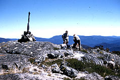 Gipfel des Bimberi Peak