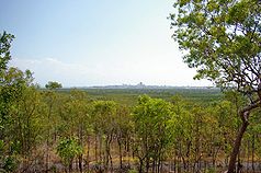 Blick vom Park zum Zentrum der Stadt Darwin