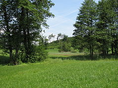 Blick in das NSG Regnitzer Weiher