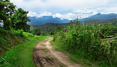 Blick auf die Berge des Nationalparks Doi Suthep-Doi Pui