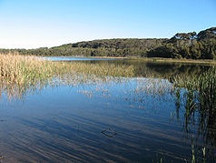 Süßwassersee im Eurobodalla-Nationalpark