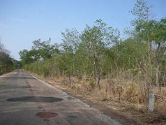 Die Süduferstraße in der Nähe des Mutaro Kunda Forest Park