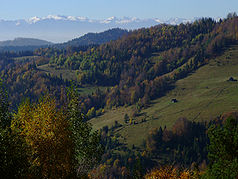Das Flusstal der Jamne im Gorce-Gebirge mit Blick auf die Tatra