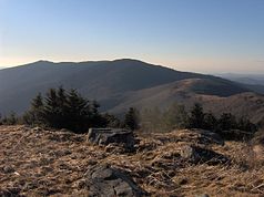 Blick von Roan Mountain