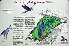 Informationstafel zum Naturschutzgebiet