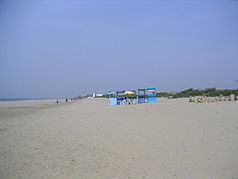 Feiner Sandstrand bei Kololi Beach
