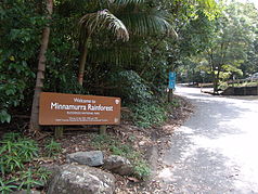 Eingang zum Minnamurra-Regenwald