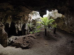 Naracoorte-Caves-Nationalpark