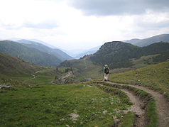 Wanderweg im Nationalpark Nockberge oberhalb von St. Oswald (Bad Kleinkirchheim)