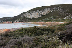 Rocky Cape 2009.jpg