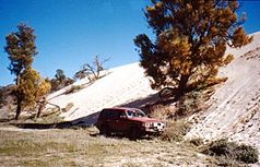 „Schneewehen“-Sanddüne im sonst flachen Wyperfield-Nationalpark (2001)