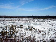 Das gefrorene Moor im April 2005