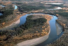 Mäandernder Fluss in den Yukon Flats