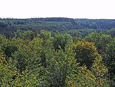 Aussicht vom Falkenkopf, Blick über das Goldersbachtal zum Steingart