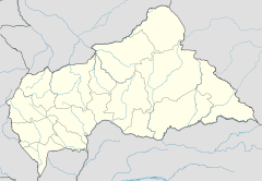 Dzanga-Sangha-Schutzgebiet (Zentralafrikanische Republik)