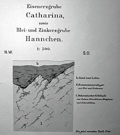 Profil der Lagerstätten der Gruben Catharina und Hannchen, Ausschnitt aus der Lagerstättenkarte des Oberbergamts Bonn 1882.