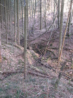 Die oberste Gabel des Hirtenbachs, wenige Schritte östlich der L 2627 zwischen Schwäbisch Hall-Sulzdorf und Obersontheim-Herlebach. Der kurze linke Zweig beginnt noch diesseits der Straße, der Fluss im längeren rechten Zweig versiegt meist noch unterhalb seiner Straßenunterführung.