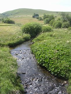 Der Fluss bei Jassy (Gemeinde Saint-Alyre-ès-Montagne)