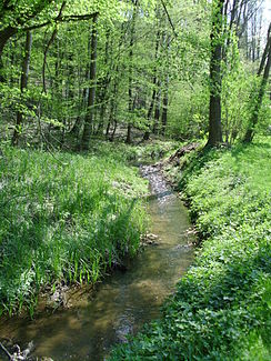 Dorche an der Schwerzkoer Mühle