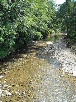 Flusslauf des Geoagiu kurz vor seiner Mündung