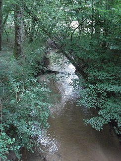 Der Fluss in der Nähe von Fraisse