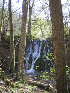 Kleiner Wasserfall des Maisenbachs bei Gamburg