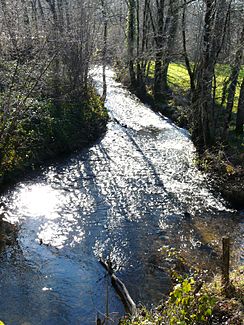 Der Fluss etwa 30 Meter vor seiner Mündung in die Côle.
