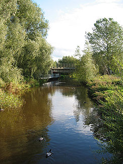 Der Fluss Weaver bei Nantwich