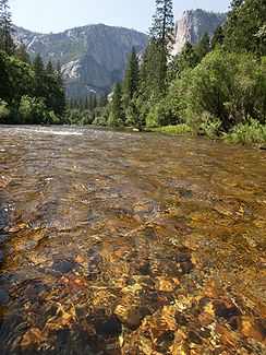 Merced River im Yosemite Valley, im rechten Hintergrund der El Capitan August 2005