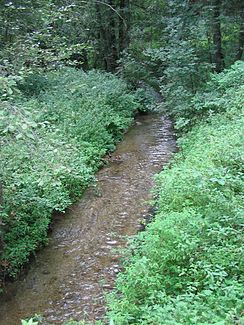 Zlatý potok im Naturschutzgebiet Amálino údolí (Amaliatal)