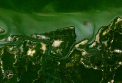 NASA-World-Wind-Satellitenbild:Der Gambia fließt hier im Bildausschnitt in westlicher Richtung, zu sehen ist das linke Flussufer.