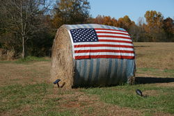 2008-11-06 Bale of hay with US flag.jpg