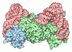 Aminoacyl-tRNA-Synthetase