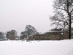 Basingwerk Abbey im Winter
