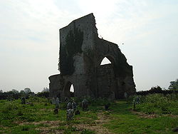 Ruine von Abbeylara Abbey