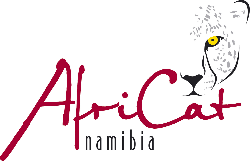 AfriCat-logo.svg