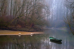 Der Altrhein bei Lingenfeld im Winter 2006/07