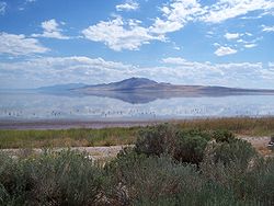Antelope Island vom Damm aus gesehen