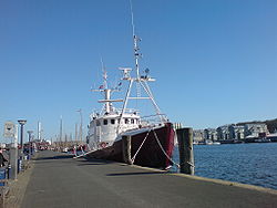 Die Arctic Janus in Flensburg