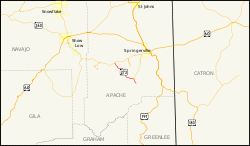 Karte der Arizona State Route 273