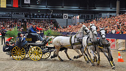 Benjamin Aillaud at Leipzig World Cup final 2008.jpg