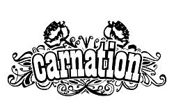 Carnation logo.jpg
