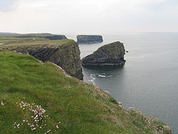 Kliffküste bei Kilkee,Bishop's Island im Hintergrund