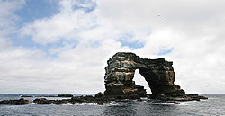 Darwin's Arch, eine der Insel vorgelagerte Klippe